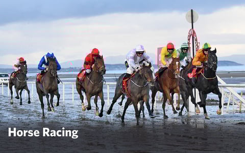 horse-racing-trips-to-ireland-with-ireland-dmc-and-group-tour-operator